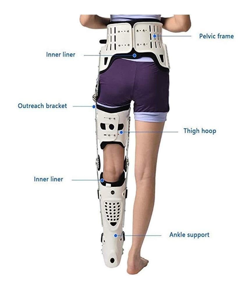 Adjustable Hip Knee Ankle Foot Orthosis for Leg Fracture, Lower Limb Paralysis Hip Support, Abduction Hinge