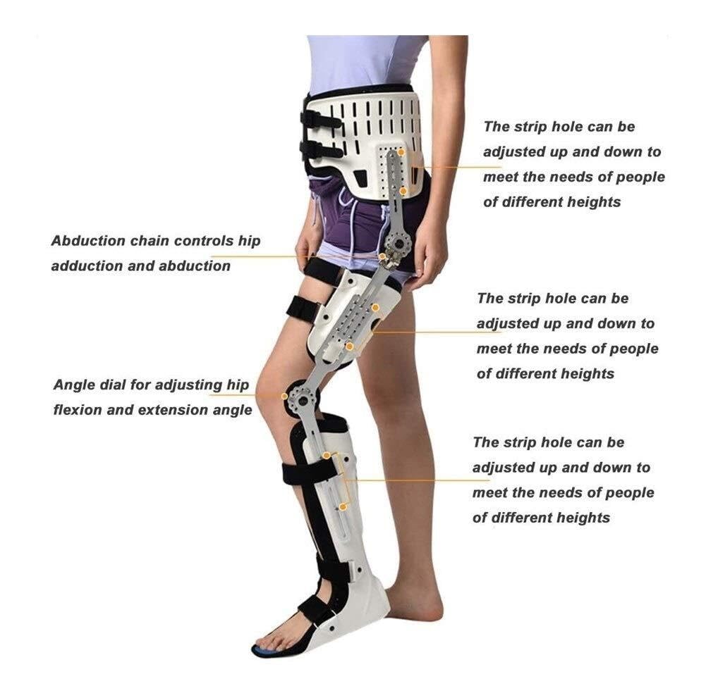 Adjustable Hip Knee Ankle Foot Orthosis for Leg Fracture, Lower Limb Paralysis Hip Support, Abduction Hinge