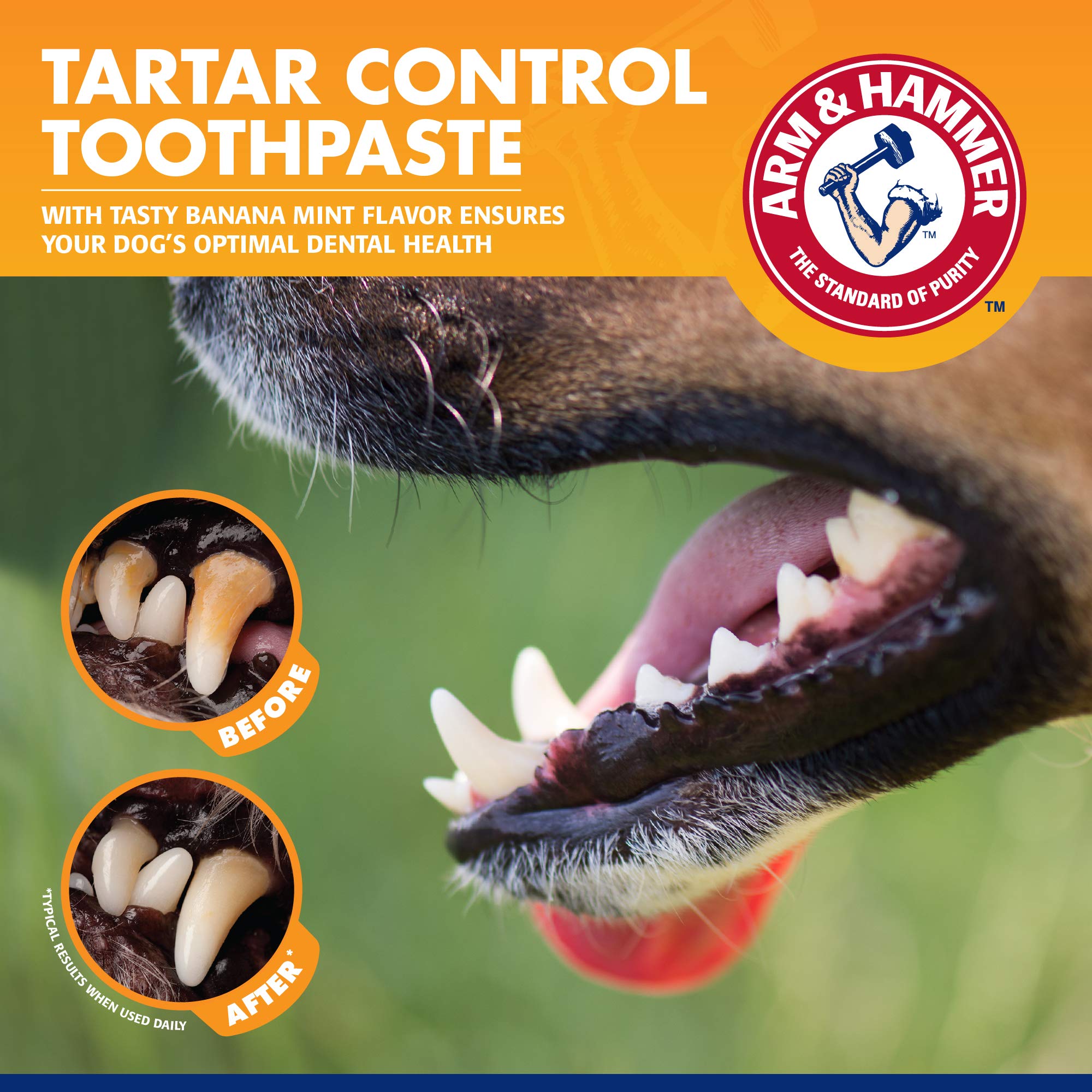 Arm & Hammer for Pets Tartar Control Kit for Dogs | Contains Toothpaste
